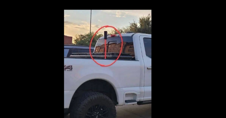 “I Keep Seeing These Sticks on the Back of Almost Every Truck in My Area… Does Anyone Know What They’re Actually For?” 🤔👇